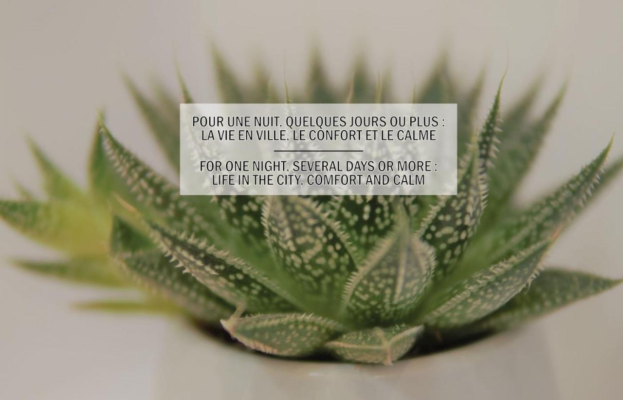 La Maisonnette De La Concorde Au Coeur De 穆瓦萨克 外观 照片